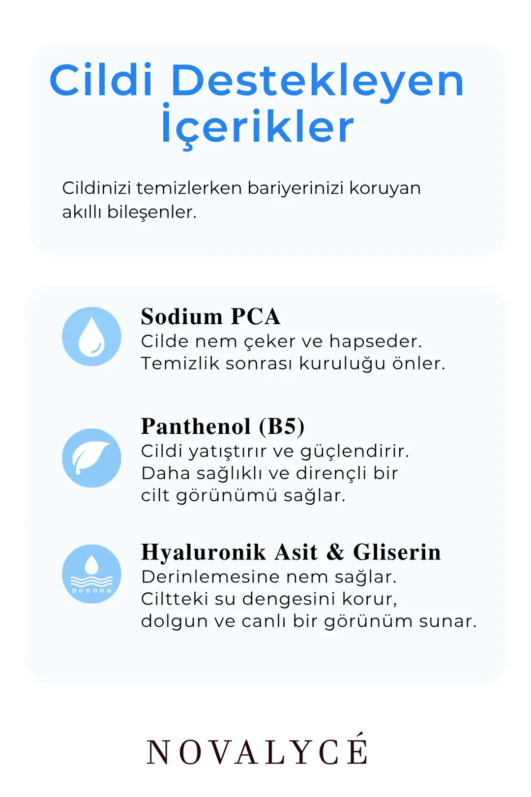 Facial Cleanser Gel Arındırıcı Nemlendirici Yüz Temizleme Jeli | Sodium PCA & Panthenol